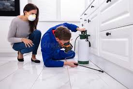 Best Bed Bug Extermination  in Kingston, IL